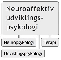Neuroaffektiv udviklingspsykologi
